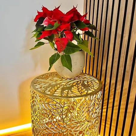 別荘 Luxurious In Yorkshire With Parking